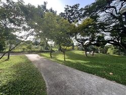 Blk 859 Tampines Parkview (Tampines), HDB 5 Rooms #495810181